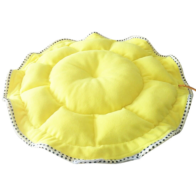 Teddy Small Dog Bed