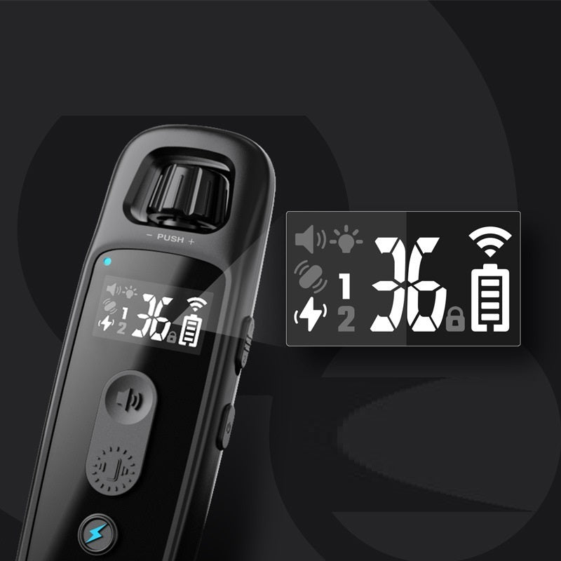 Remote Control Anti-barking Device
