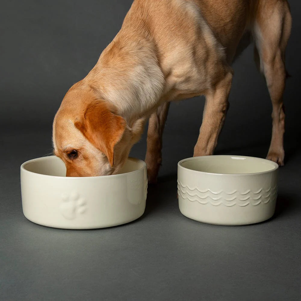 Food & Water Bowls