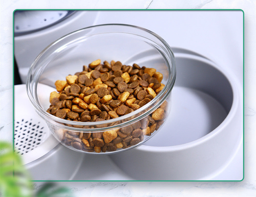 Automatic Pet Feed Dispenser