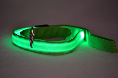 Glowing Pet Leash LED