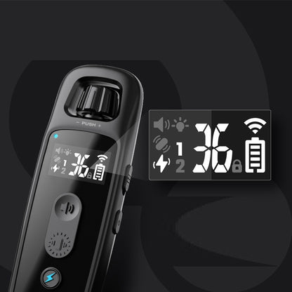 Remote Control Anti-barking Device