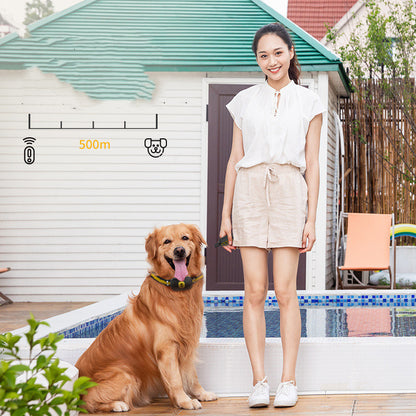 Anti-Barking Training Device for Dogs