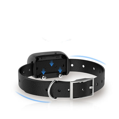 Anti-Barking Training Device for Dogs