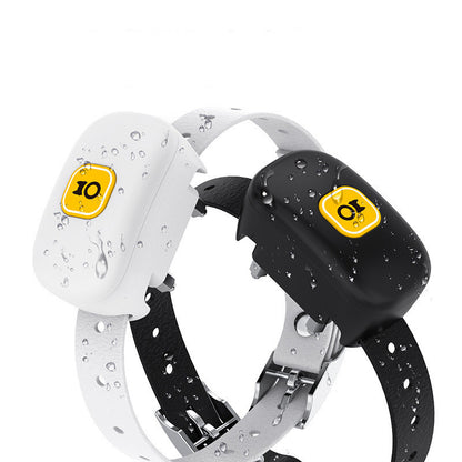 Anti-Barking Training Device for Dogs
